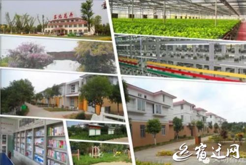 华西村人均收入_宿迁市农民人均纯收入(3)