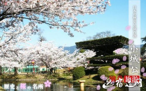 看樱花何必去大阪 2016最佳赏樱小众路线(4)_