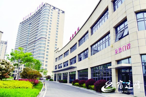 zcsheng181275