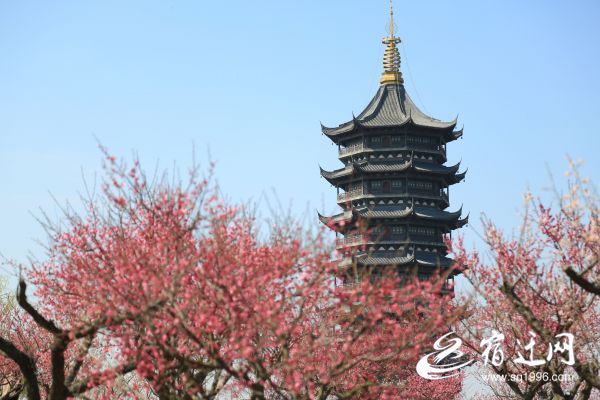 QQ图片20190321102824