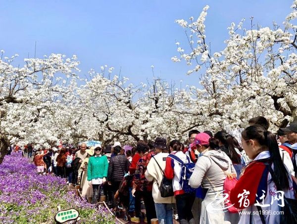（速新闻）宿迁旅游经济首季开门红 接待游(120004)-20190422084153