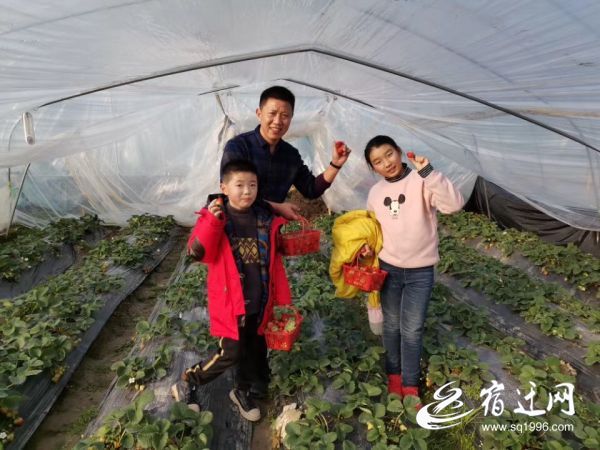 这个周末，爱心涌向宿豫扶贫园(分离图)微(529812)-20191230082224