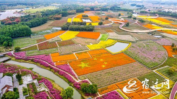 在三台山国家森林公园，一面由花海组成的巨(1669906)-20211001120423