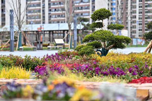 250617d7ab294d14b60e93558b9b47d2
