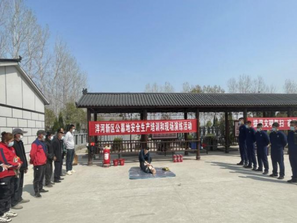 图片12