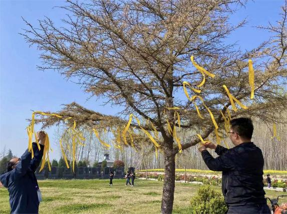 图片20