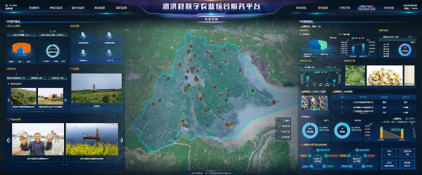 图片11